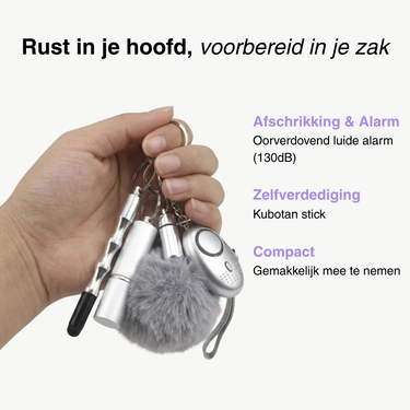 Safebestie Keychain Silver